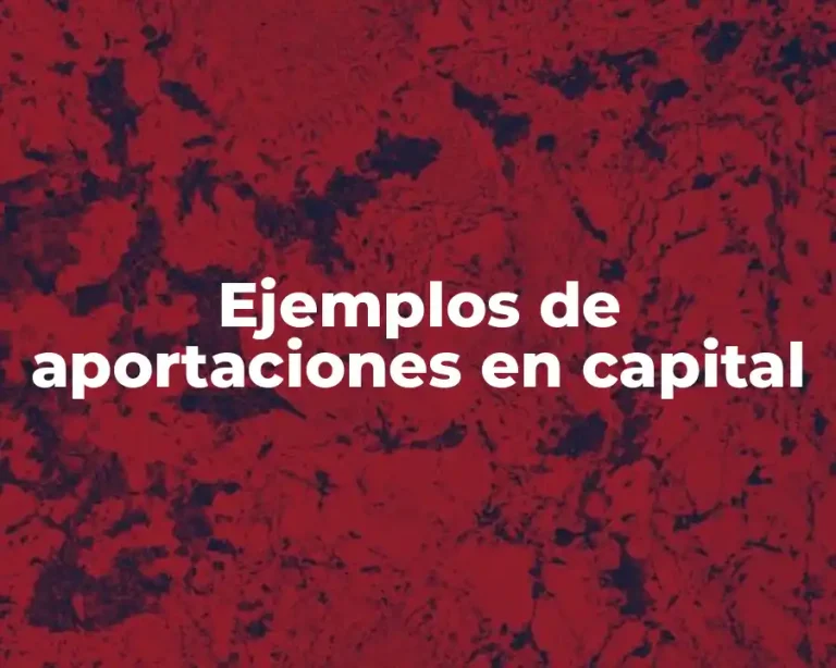 Ejemplos de aportaciones en capital