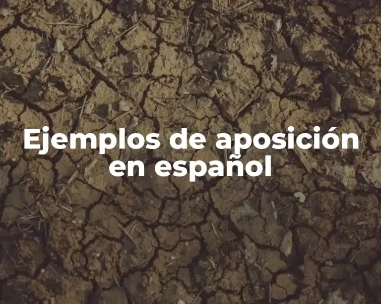 Ejemplos de aposición en español