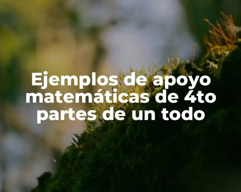 Ejemplos de apoyo matemáticas de 4to partes de un todo