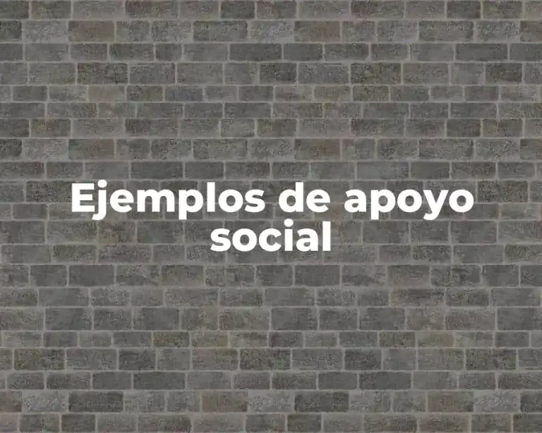 Ejemplos de apoyo social