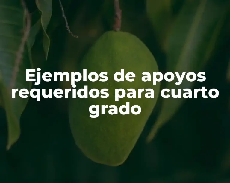 Ejemplos de apoyos requeridos para cuarto grado