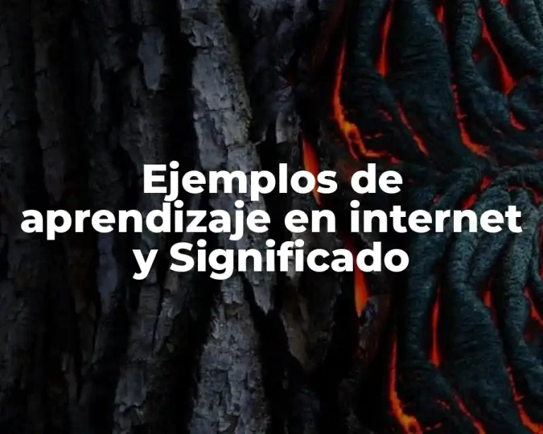 Ejemplos de aprendizaje en internet y Significado
