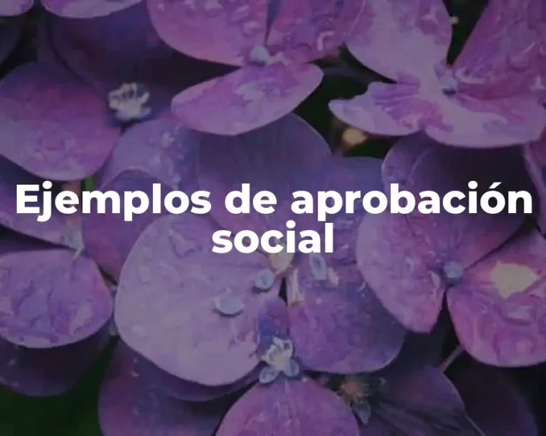 Ejemplos de aprobación social