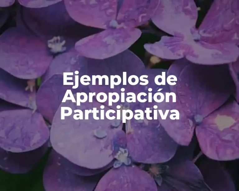 Ejemplos de Apropiación Participativa