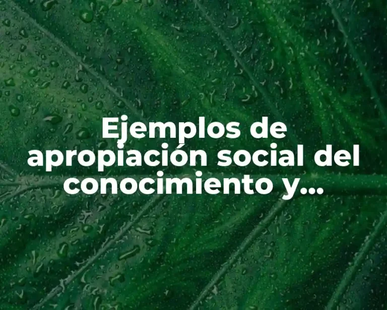 Ejemplos de apropiación social del conocimiento y Significado