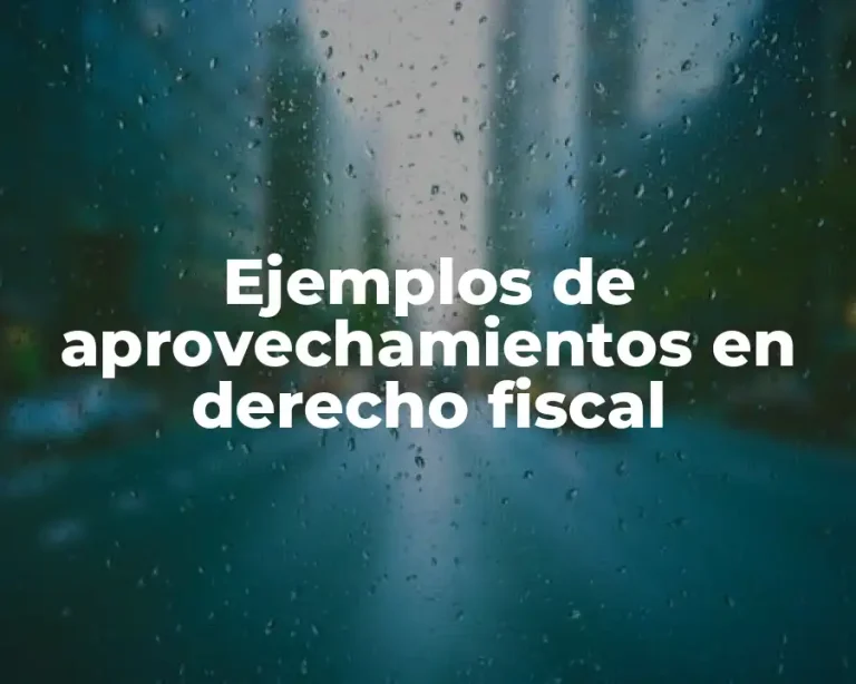 Ejemplos de aprovechamientos en derecho fiscal