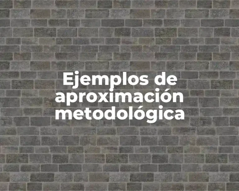 Ejemplos de aproximación metodológica