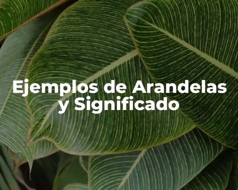 Ejemplos de Arandelas y Significado
