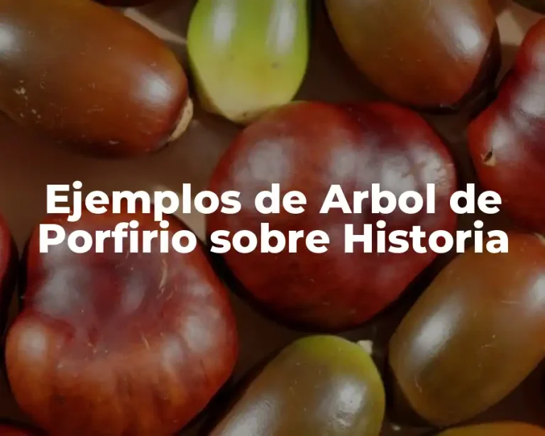 Ejemplos de Arbol de Porfirio sobre Historia
