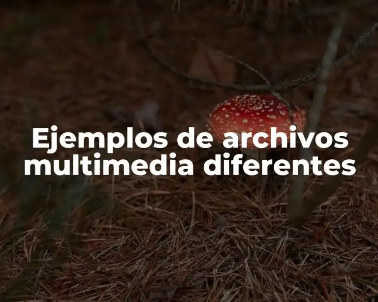 Ejemplos de archivos multimedia diferentes