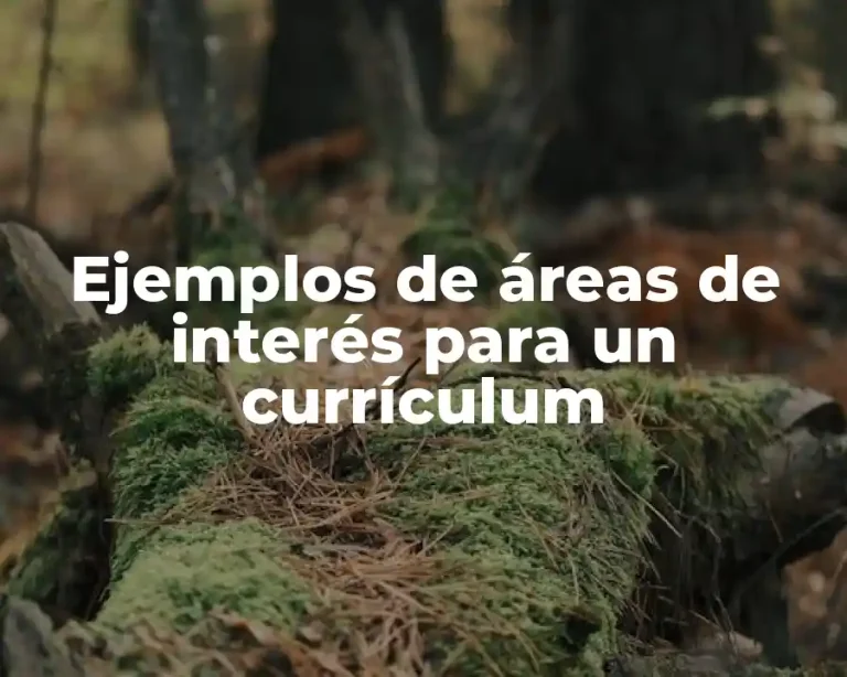 Ejemplos de áreas de interés para un currículum
