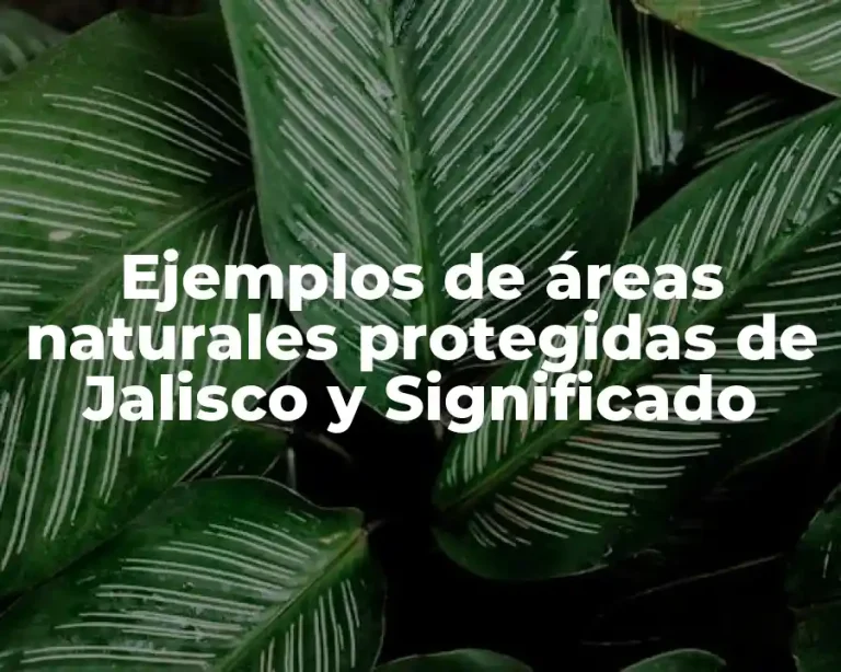 Ejemplos de áreas naturales protegidas de Jalisco y Significado