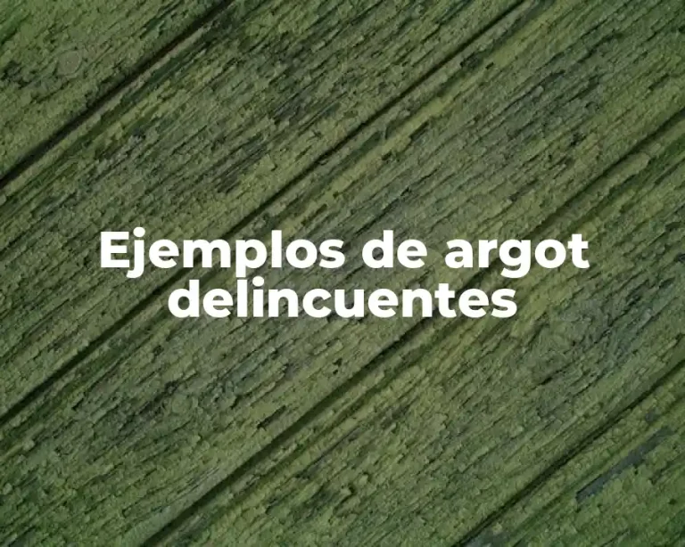 Ejemplos de argot delincuentes