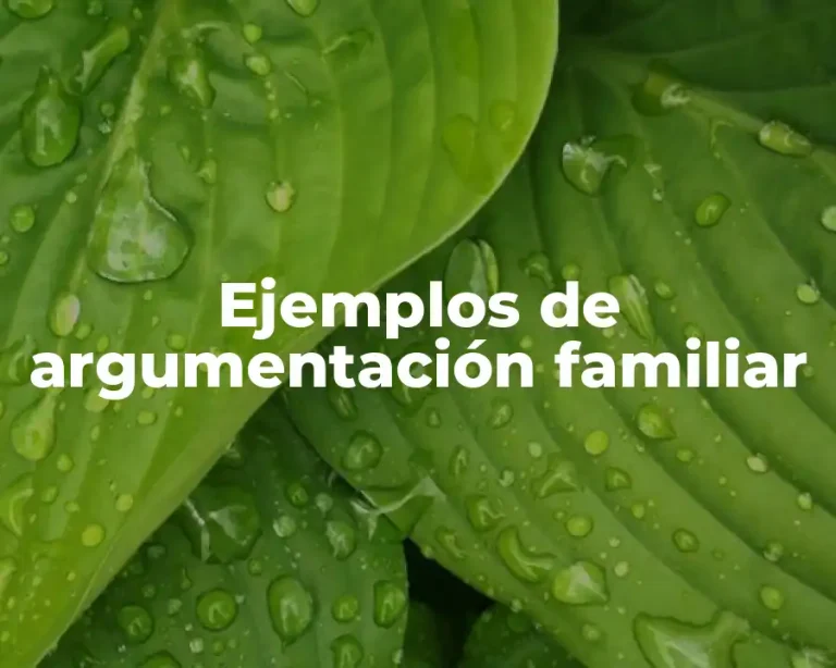 Ejemplos de argumentación familiar