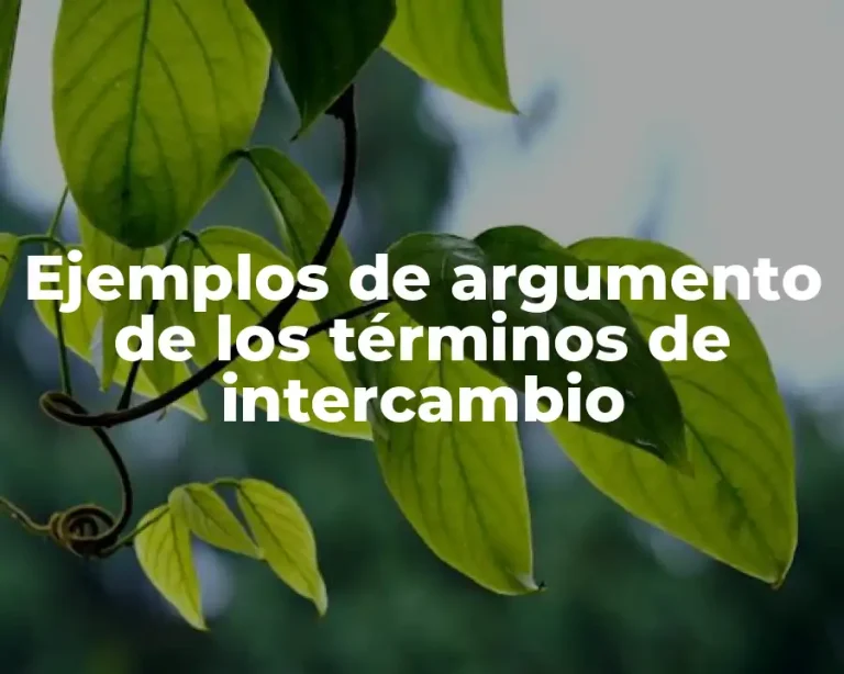 Ejemplos de argumento de los términos de intercambio