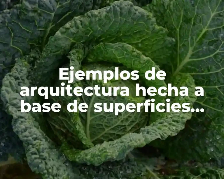 Ejemplos de arquitectura hecha a base de superficies alabeadas