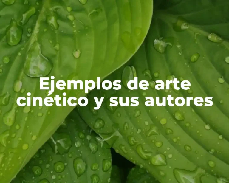 Ejemplos de arte cinético y sus autores