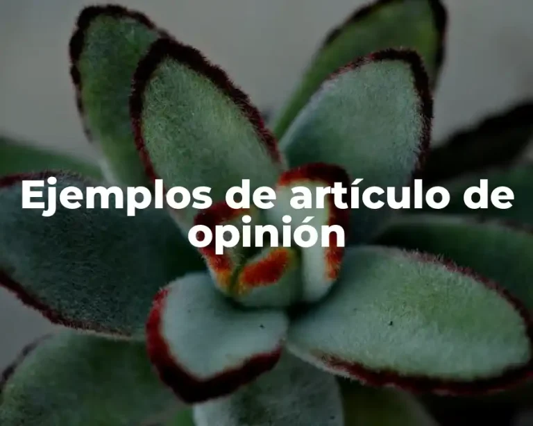Ejemplos de artículo de opinión
