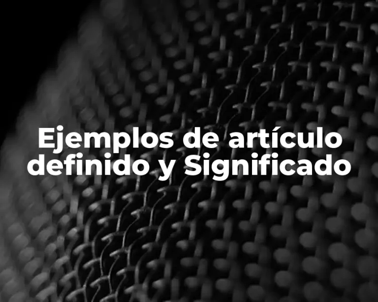 Ejemplos de artículo definido y Significado