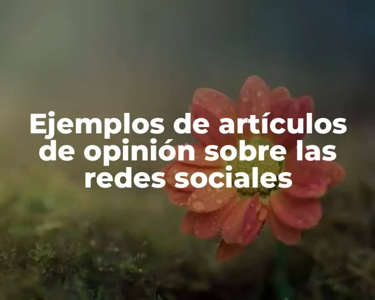 Ejemplos de artículos de opinión sobre las redes sociales