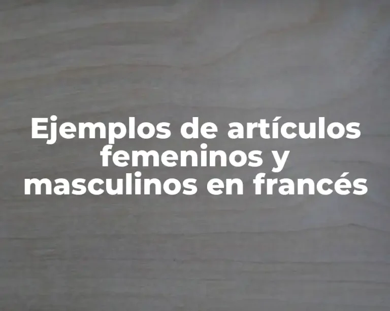 Ejemplos de artículos femeninos y masculinos en francés