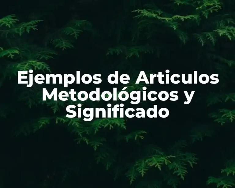 Ejemplos de Articulos Metodológicos y Significado