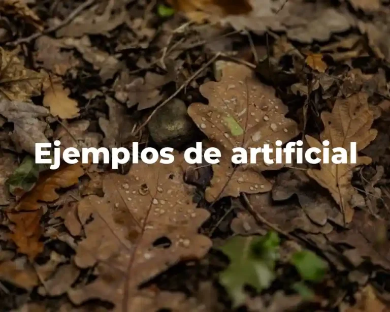 Ejemplos de artificial