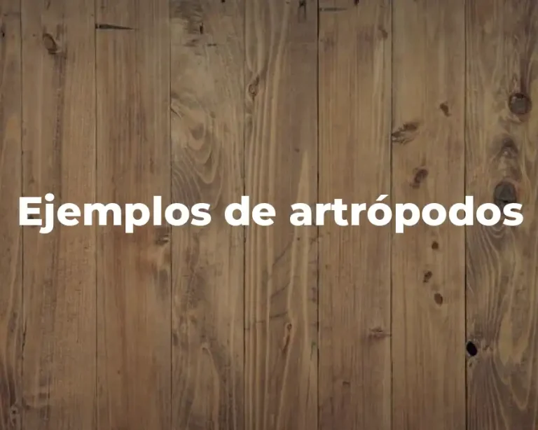 Ejemplos de artrópodos