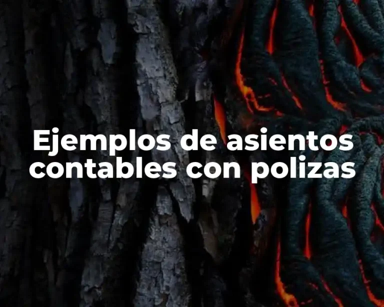 Ejemplos de asientos contables con polizas
