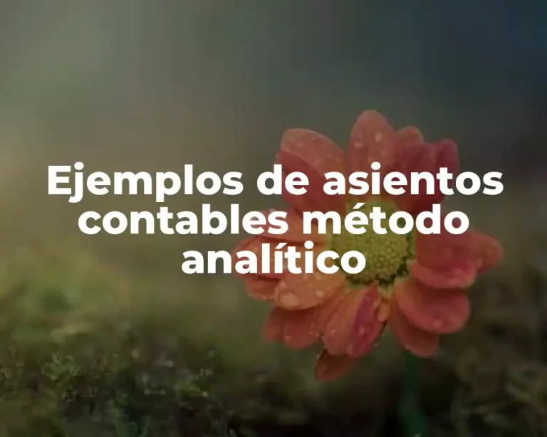 Ejemplos de asientos contables método analítico