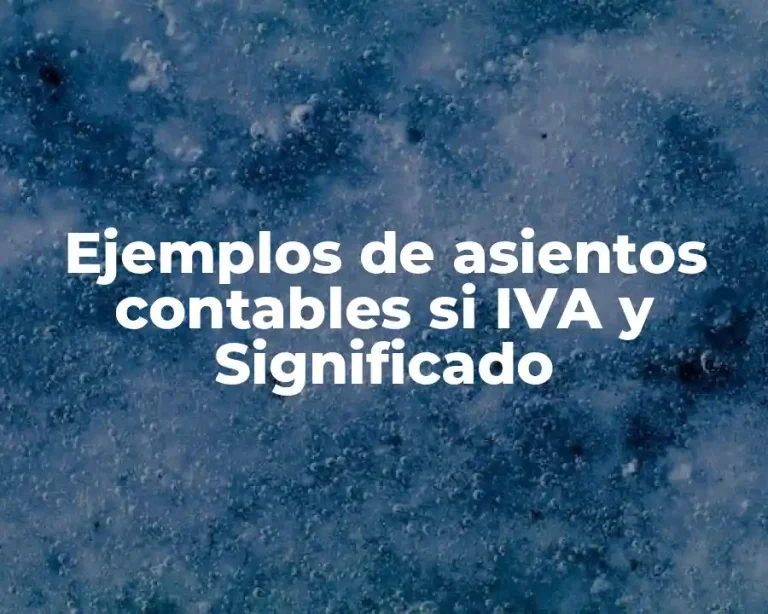 Ejemplos de asientos contables si IVA y Significado