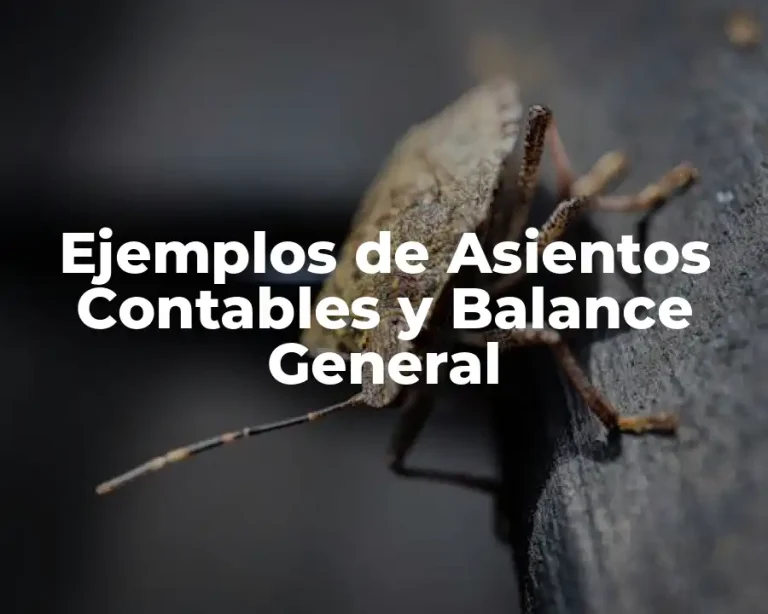 Ejemplos de Asientos Contables y Balance General