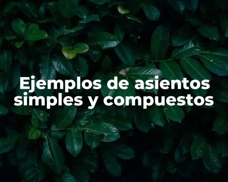 Ejemplos de asientos simples y compuestos