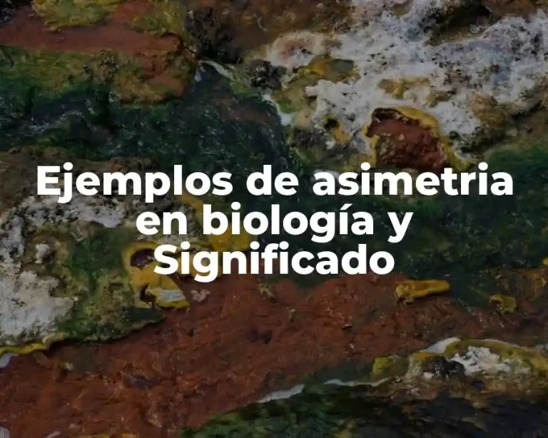 Ejemplos de asimetria en biología y Significado