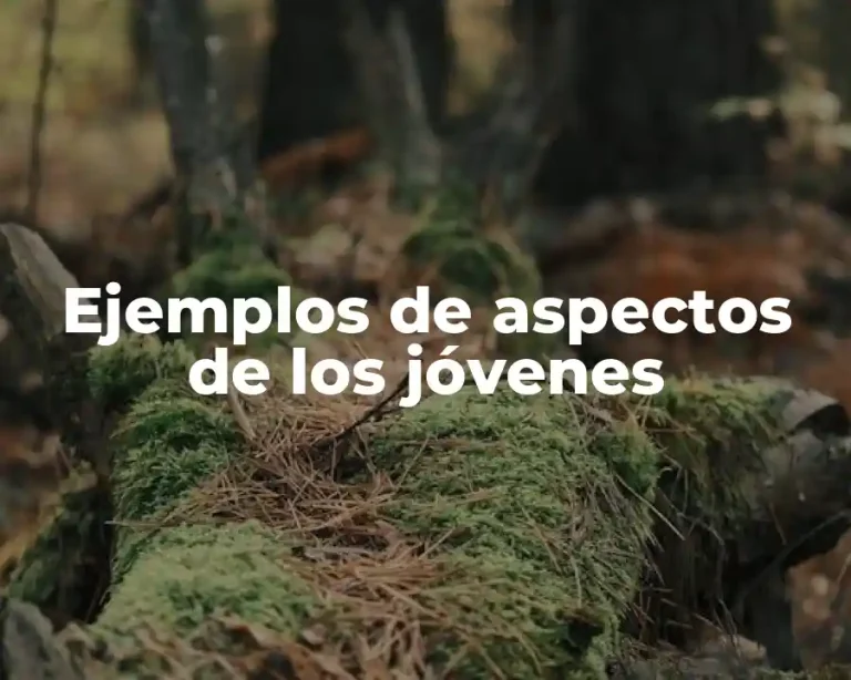 Ejemplos de aspectos de los jóvenes