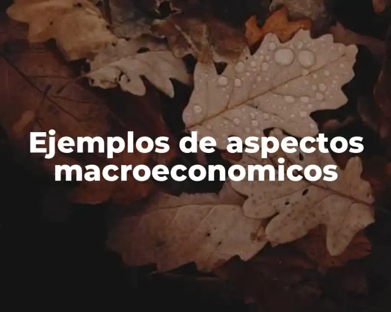 Ejemplos de aspectos macroeconomicos