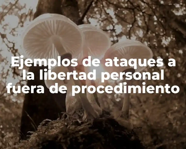 Ejemplos de ataques a la libertad personal fuera de procedimiento