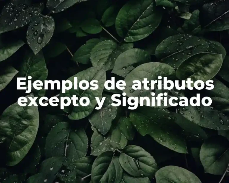 Ejemplos de atributos excepto y Significado