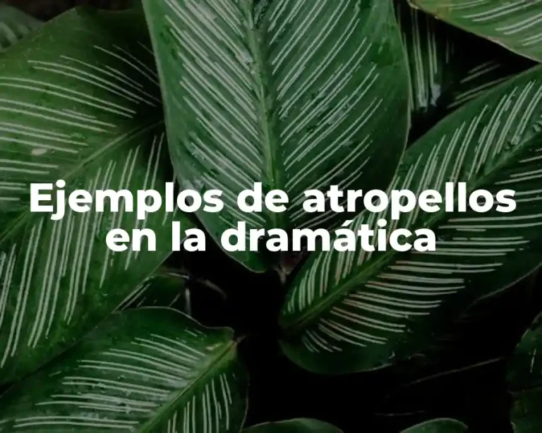 Ejemplos de atropellos en la dramática
