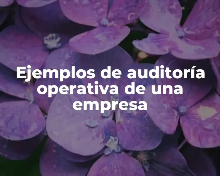 Ejemplos de auditoría operativa de una empresa