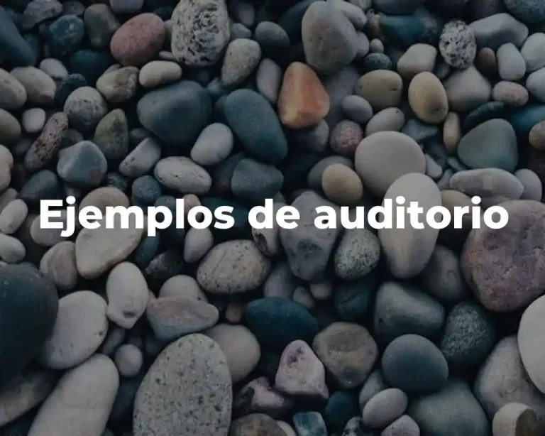 Ejemplos de auditorio