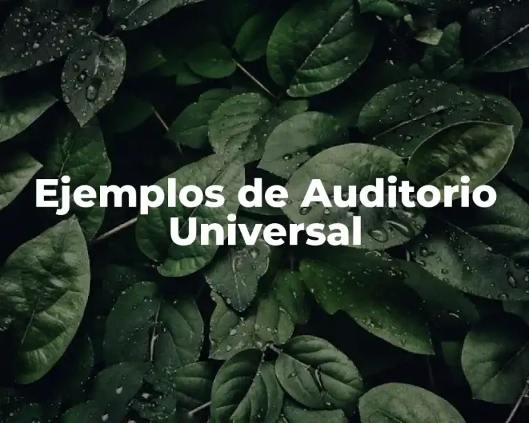 Ejemplos de Auditorio Universal