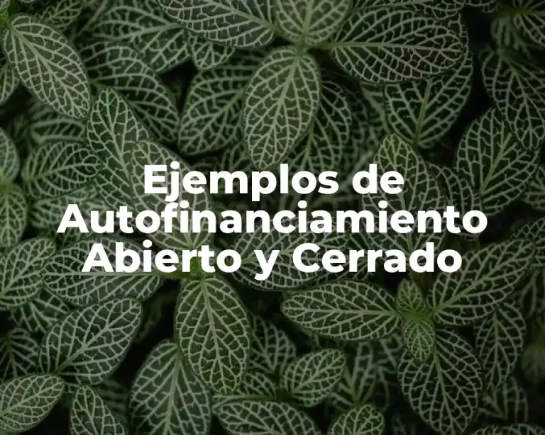 Ejemplos de Autofinanciamiento Abierto y Cerrado