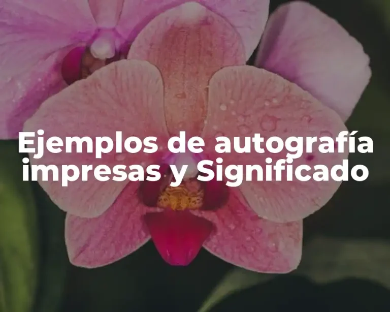 Ejemplos de autografía impresas y Significado