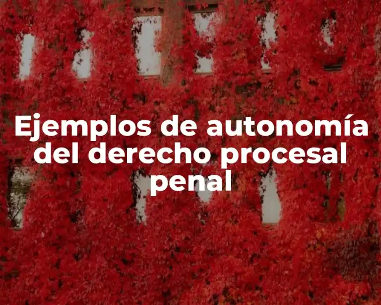 Ejemplos de autonomía del derecho procesal penal
