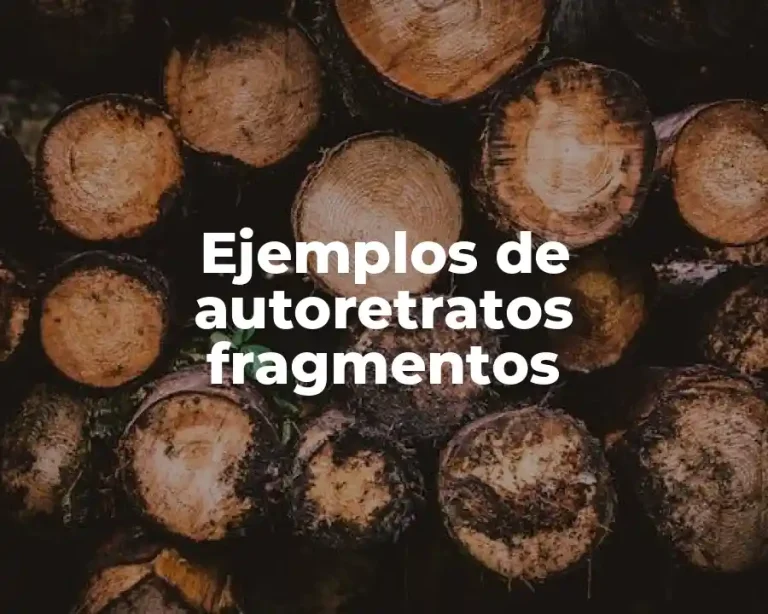 Ejemplos de autoretratos fragmentos