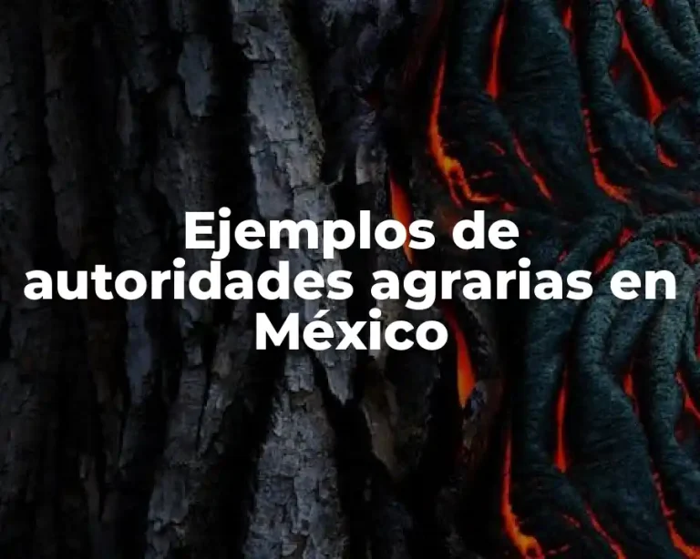 Ejemplos de autoridades agrarias en México
