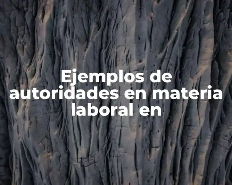 Ejemplos de autoridades en materia laboral en
