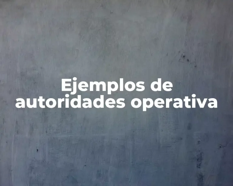 Ejemplos de autoridades operativa