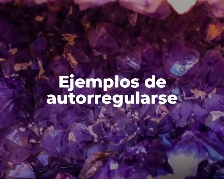 Ejemplos de autorregularse